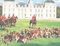 Chasse à Courre avec la Meute du Chateauk