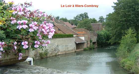 Le Loir  Illiers-Combray