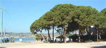 Juan les Pins: la Pinde