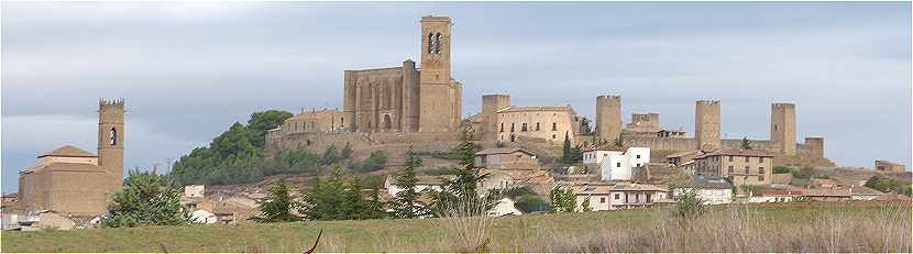 Panorama sur la ville avec El Cerco de Artajona