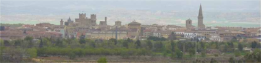 Panorama sur Olite