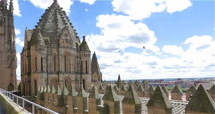 Tour du Coq avec dme en cailles de la Cathdrale Vieja de Salamanque