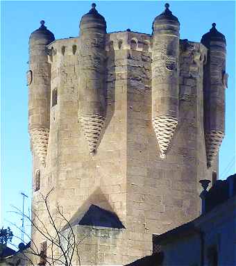 Torre del Clavero avec ses chauguettes  Salamanque