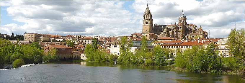 Panorama sur Salamanque avec les Cathdrales et le Rio Tormes