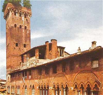 Tour et Palais Guinigi  Lucques