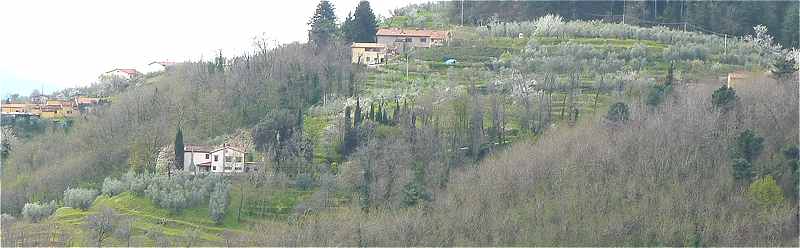 Campagne  Campiglio, au dessus de Pistoia