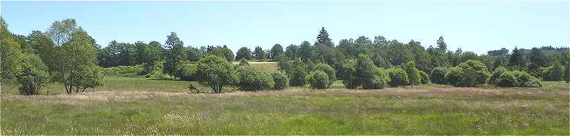 Paysage du Plateau de Millevaches