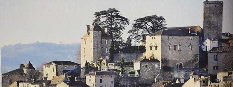 Vue de la partie haute de Puy-l'Evque avec le donjon carr en haut  droite