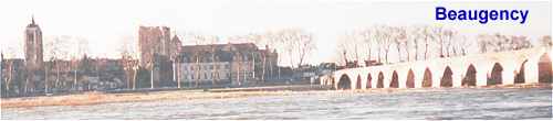 La Loire � Beaugency