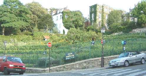 La Vigne de Montmartre