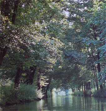 Le Marais Poitevin