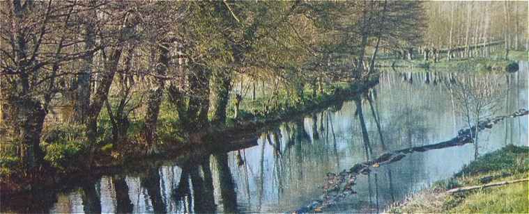 Le Marais Poitevin