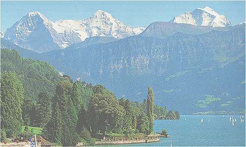 Oberland Bernois