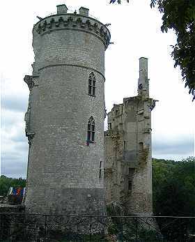 Ruines du chteau de Mehun sur Yvre