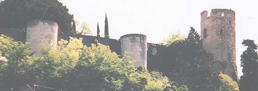 Fort du Coudray, coté Ouest