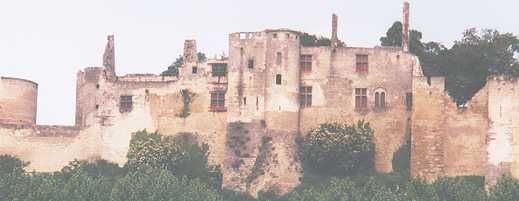 Fort du Coudray, cot� Ouest