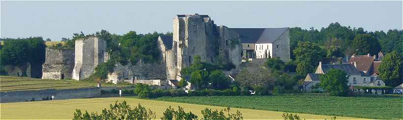 Vue sur le chteau de Crissay