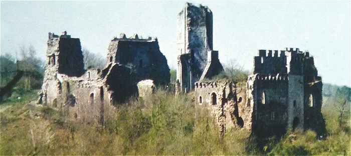 Ruines du château médiéval de Chalusset