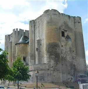 Chateau-fort de Niort